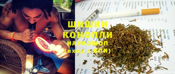 гидропоника Алзамай