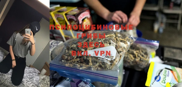 гидропоника Алзамай