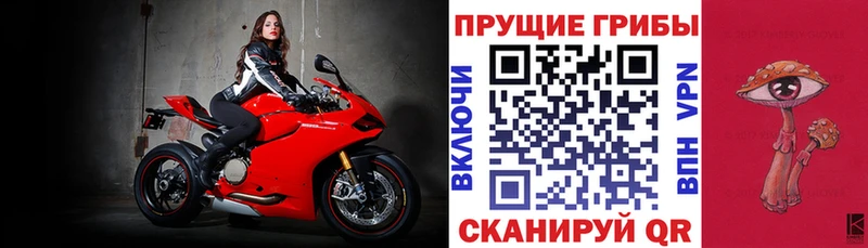 Псилоцибиновые грибы мицелий Ветлуга
